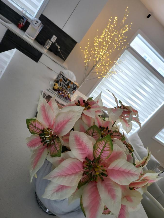 Bliss-Home Ottawa Eksteriør billede